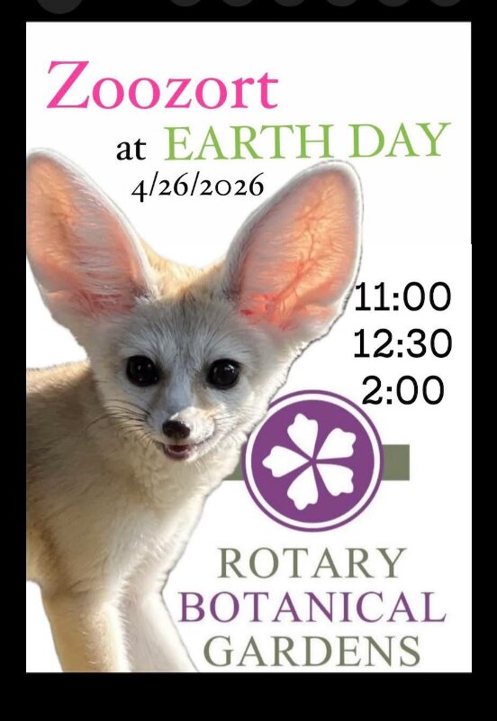 Zoozort at earth day